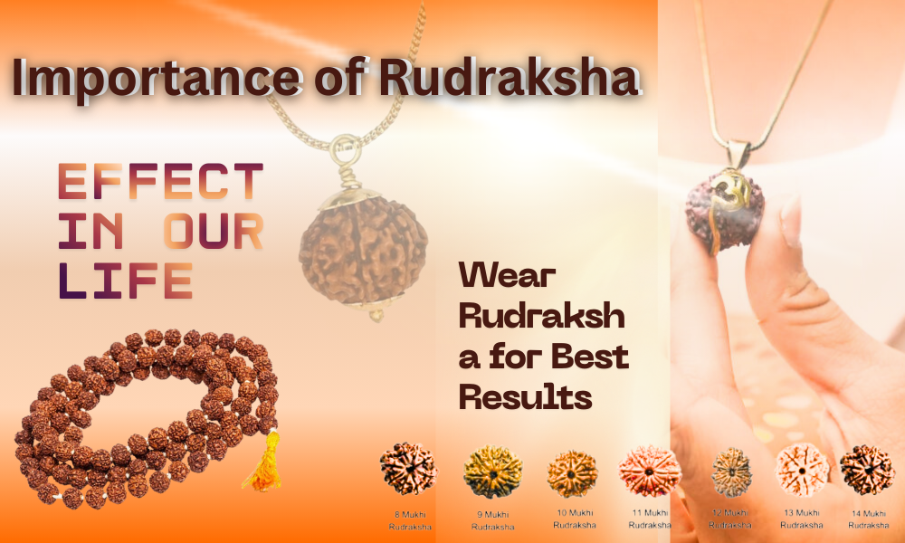  Rudraksha Effect in Our Life and How to Wear Rudraksha for Best Results