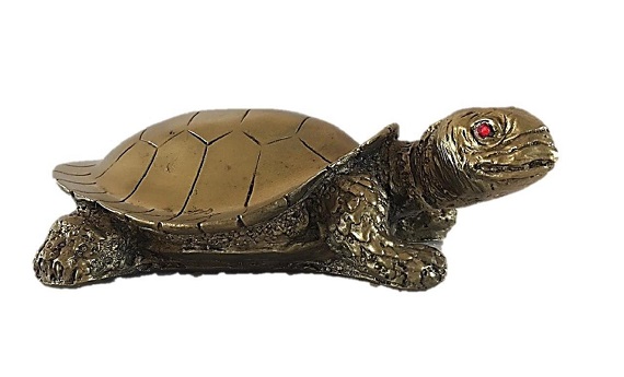 Tortoise( Kachukama)