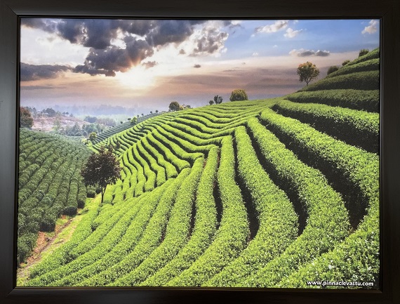 Green Landscape Painting
