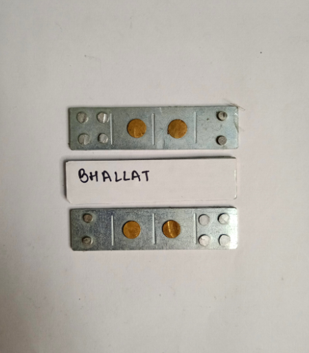 Bhallat Devta Div