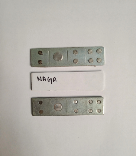 Naga Devta Div