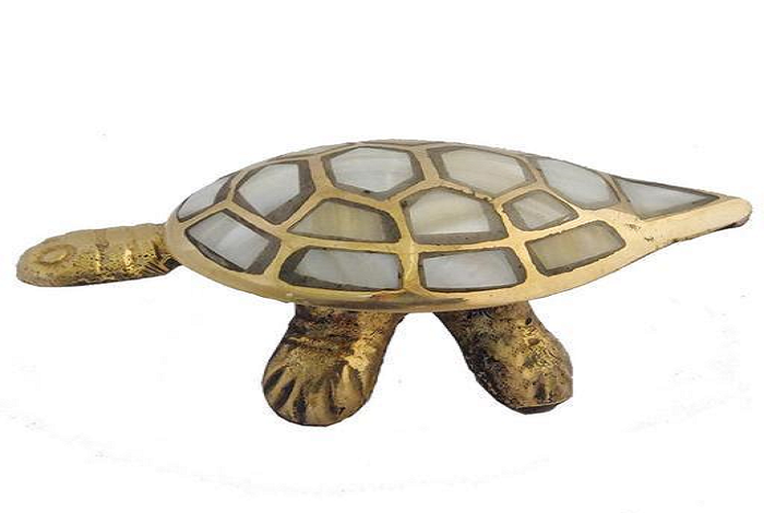 Wish Tortoise